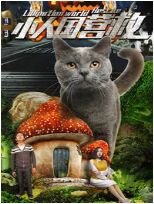С˹Ӫ